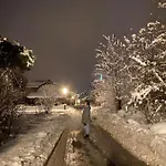 Alpen Appartement Hallstatt