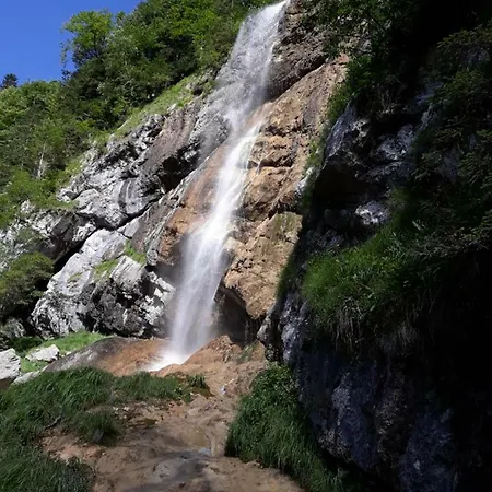 Апартаменты Alpen