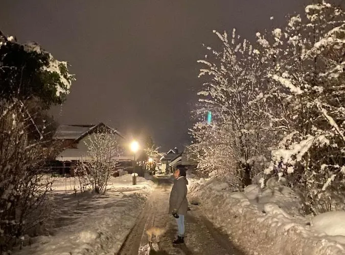 Alpen Apartamento Hallstatt
