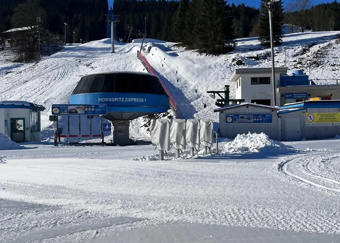 阿尔卑公寓 公寓 哈尔施塔特