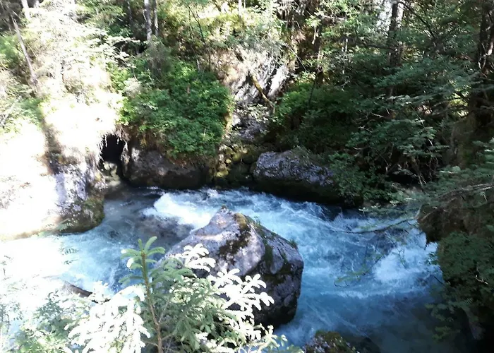 阿尔卑公寓 公寓 哈尔施塔特